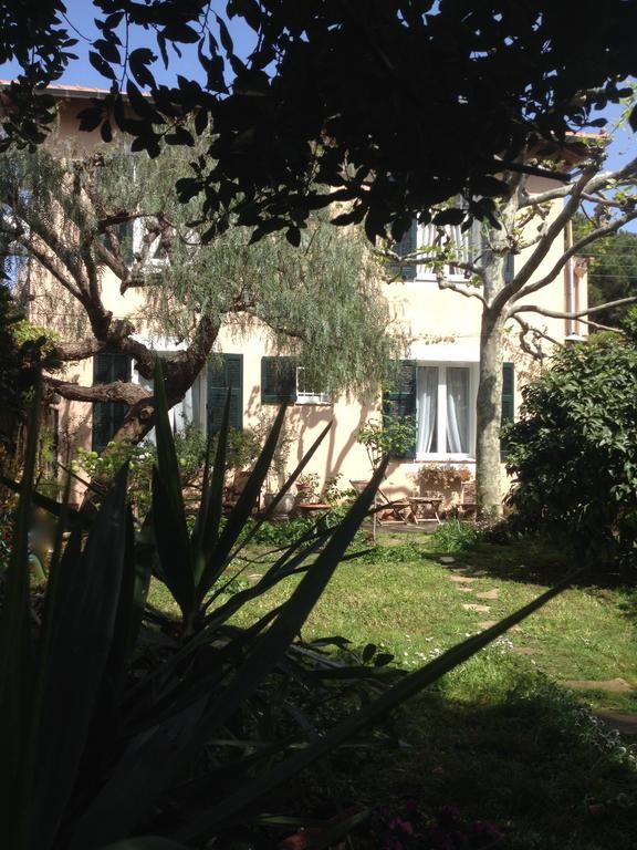 Villa Pretorina Cannes Exterior photo